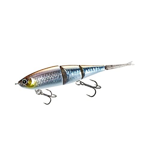 シマノ(SHIMANO) ルアー 淡水プラグ バンタム Btベイト 99F 003 NギザーS 99mm/6g ZR-699V