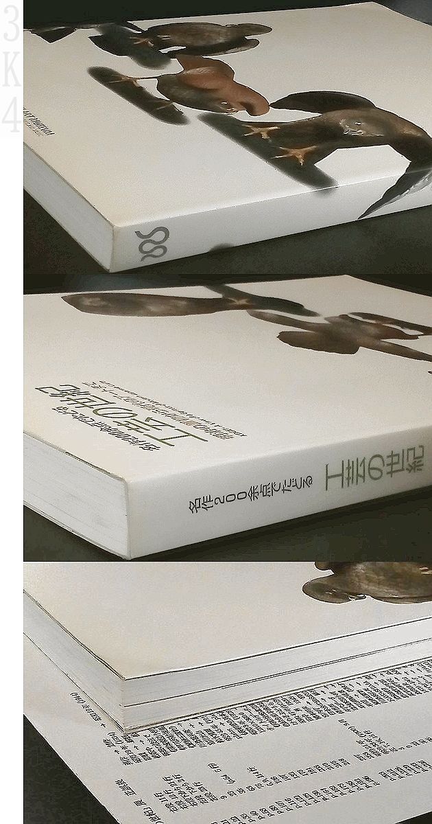 刀装具他掲載 後藤一乗 加納夏雄 小柄 縁頭 目貫 時代鐔 宗珉