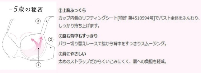  Wacoal [... минус 5 лет ....bla]* бюстгальтер & шорты комплект *E75&L*Grace~ античный ювелирные изделия * голубой серый /LG