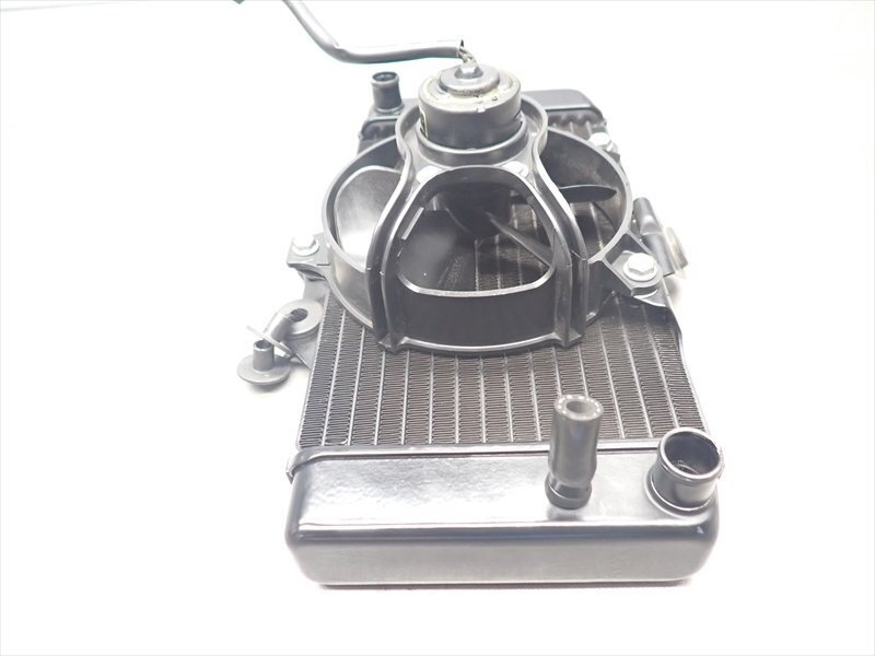 I1R7-0821 ホンダ VTR-F250 ラジエター ファン付 ラジエーター 純正品 【MC33-160～ 動(dòng)畫有】