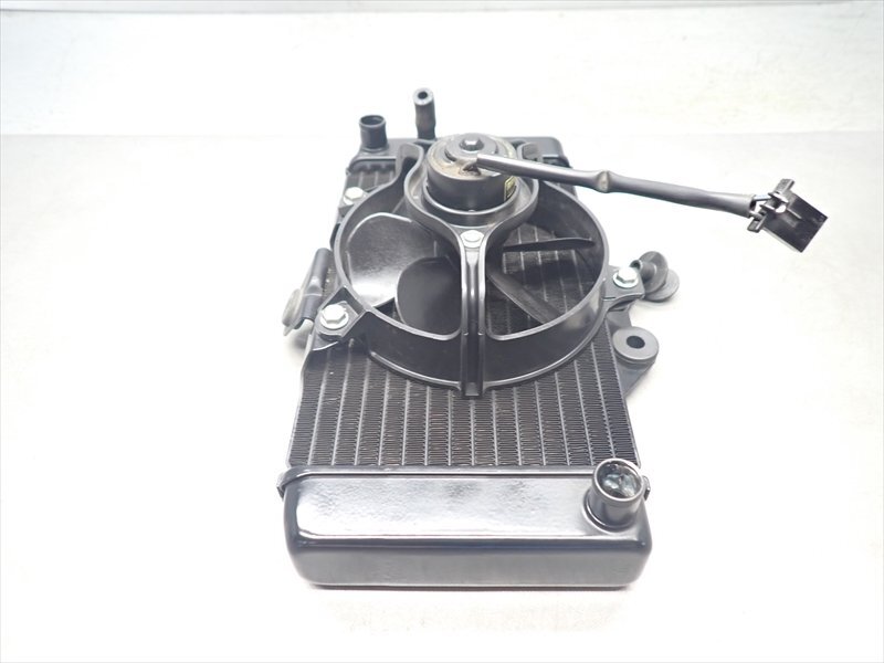 I1R7-0821 ホンダ VTR-F250 ラジエター ファン付 ラジエーター 純正品 【MC33-160～ 動(dòng)畫有】