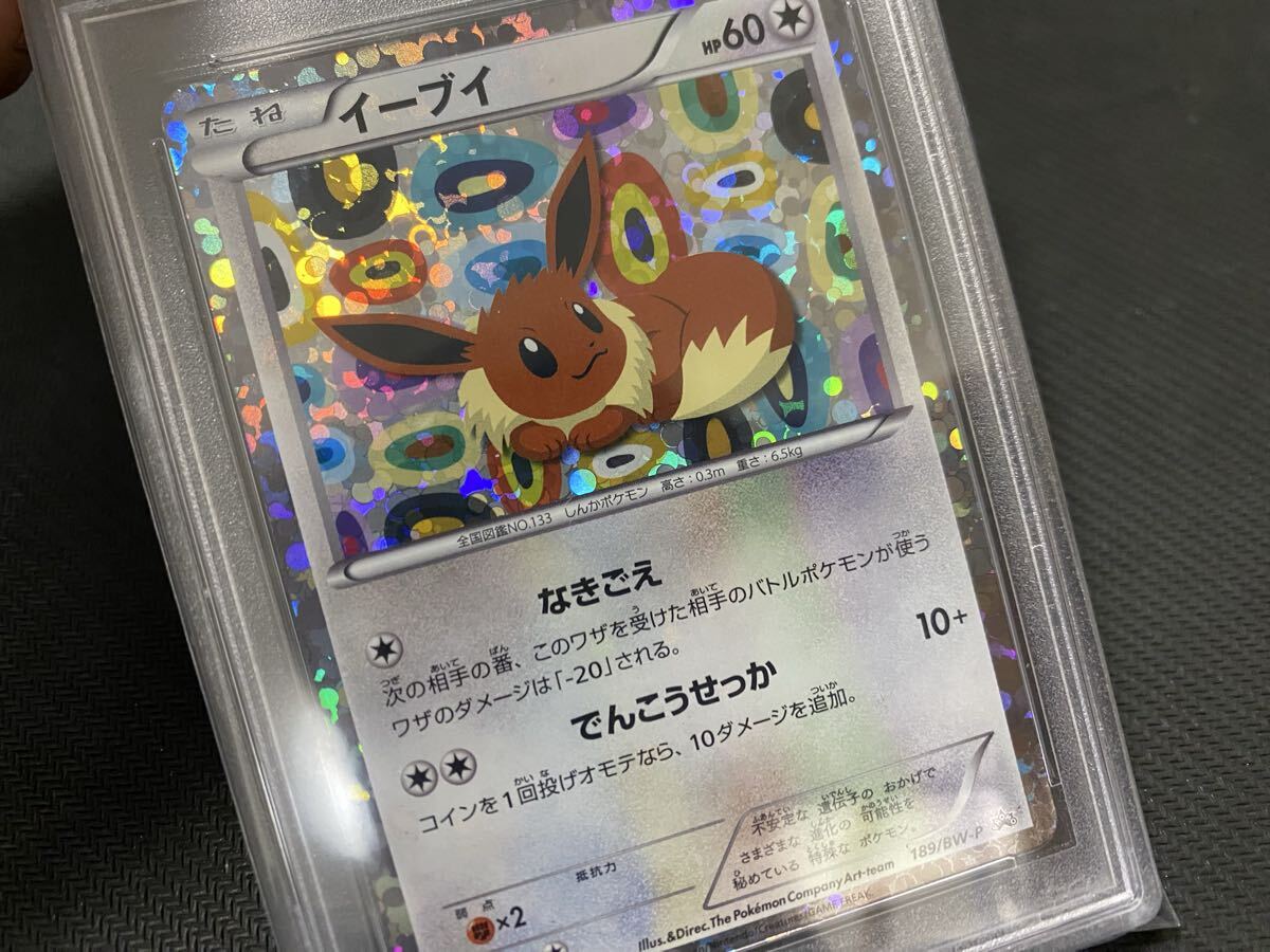 イーブイ イーブイコレクション 189 PSA10 正規品 2012年 ポケモンカード PSA10 イーブイ イーブイ