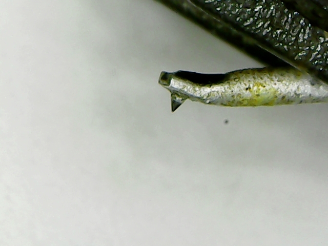 Aurex　C-250M　一体型カートリッジ　完動品　ウルトラ-C仕様