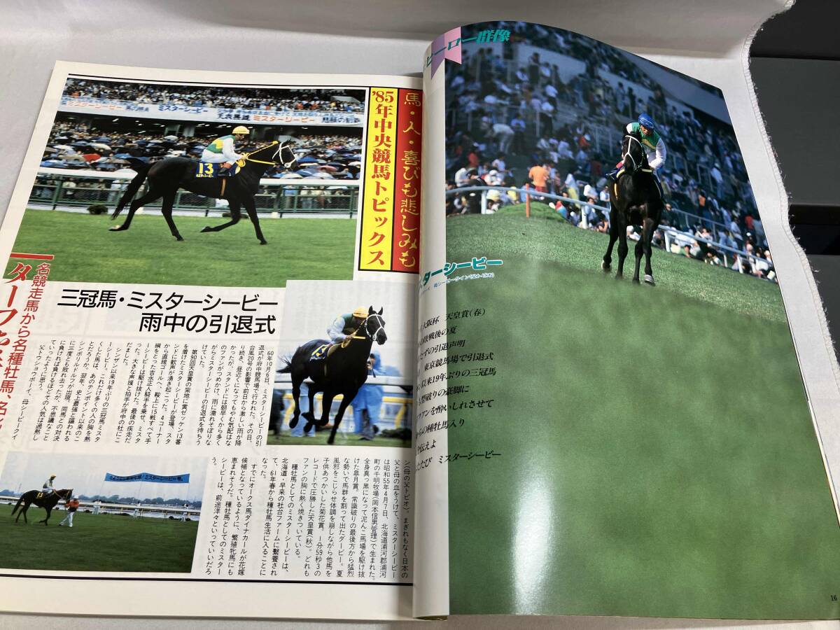 優駿 増刊号 ターフ・ヒーロー TURF HERO’85 1986年3月15日発行_画像7