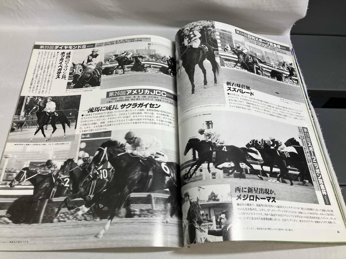 優駿 増刊号 ターフ・ヒーロー TURF HERO’85 1986年3月15日発行_画像8