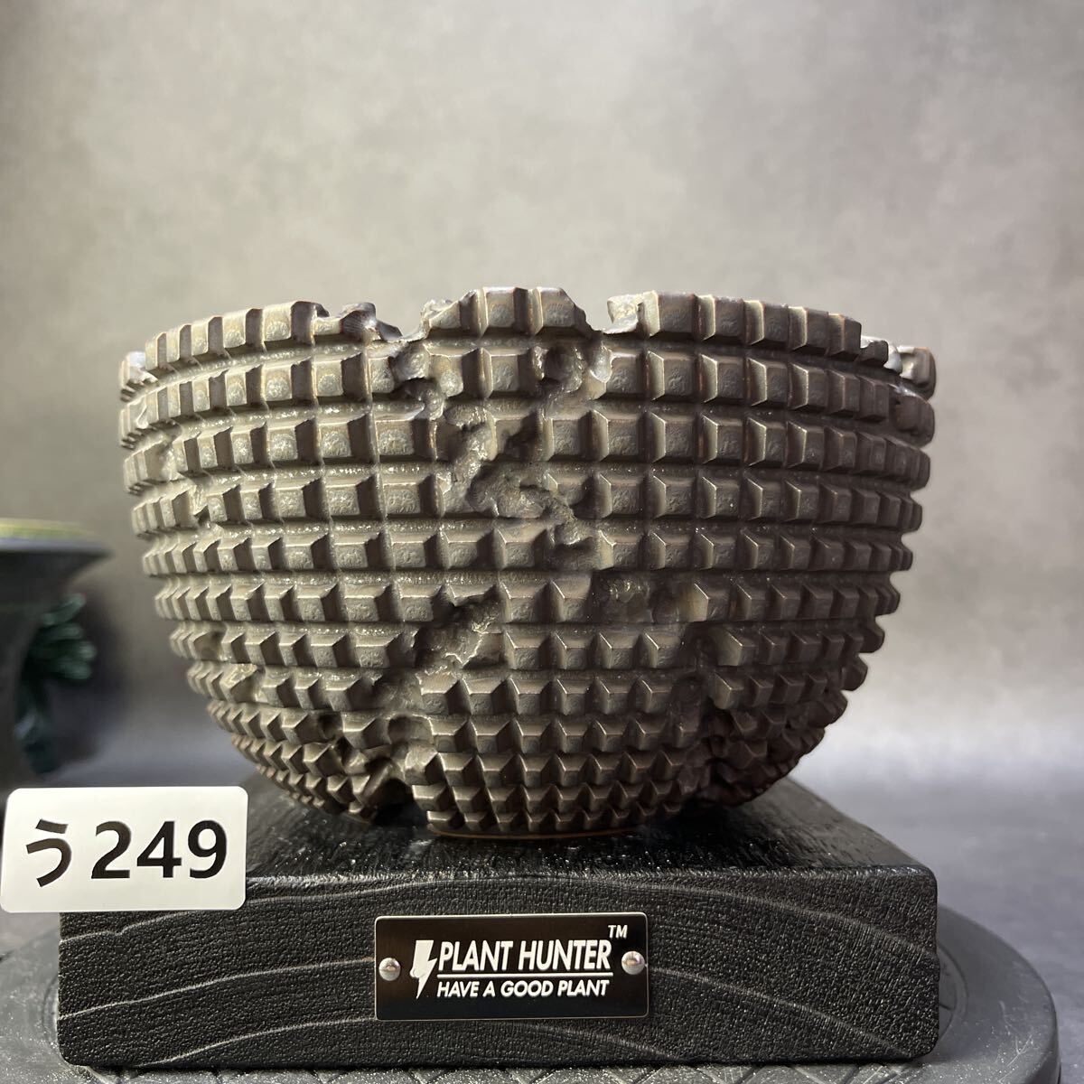 う249 HAND Made XL 植木鉢 陶器 魔界木 検(アガベ パキプス 姫巌竜 帝釈天 黒火焔 factory SRL カタチ製作所 グラキリス 塊根植物 亀甲竜_画像1