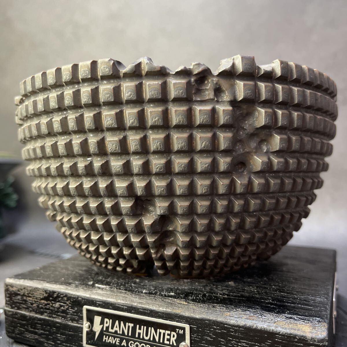 う249 HAND Made XL 植木鉢 陶器 魔界木 検(アガベ パキプス 姫巌竜 帝釈天 黒火焔 factory SRL カタチ製作所 グラキリス 塊根植物 亀甲竜_画像4