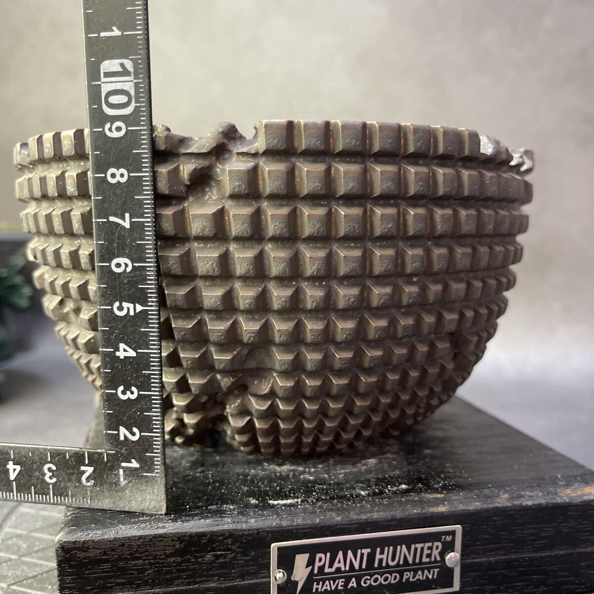 う249 HAND Made XL 植木鉢 陶器 魔界木 検(アガベ パキプス 姫巌竜 帝釈天 黒火焔 factory SRL カタチ製作所 グラキリス 塊根植物 亀甲竜_画像7