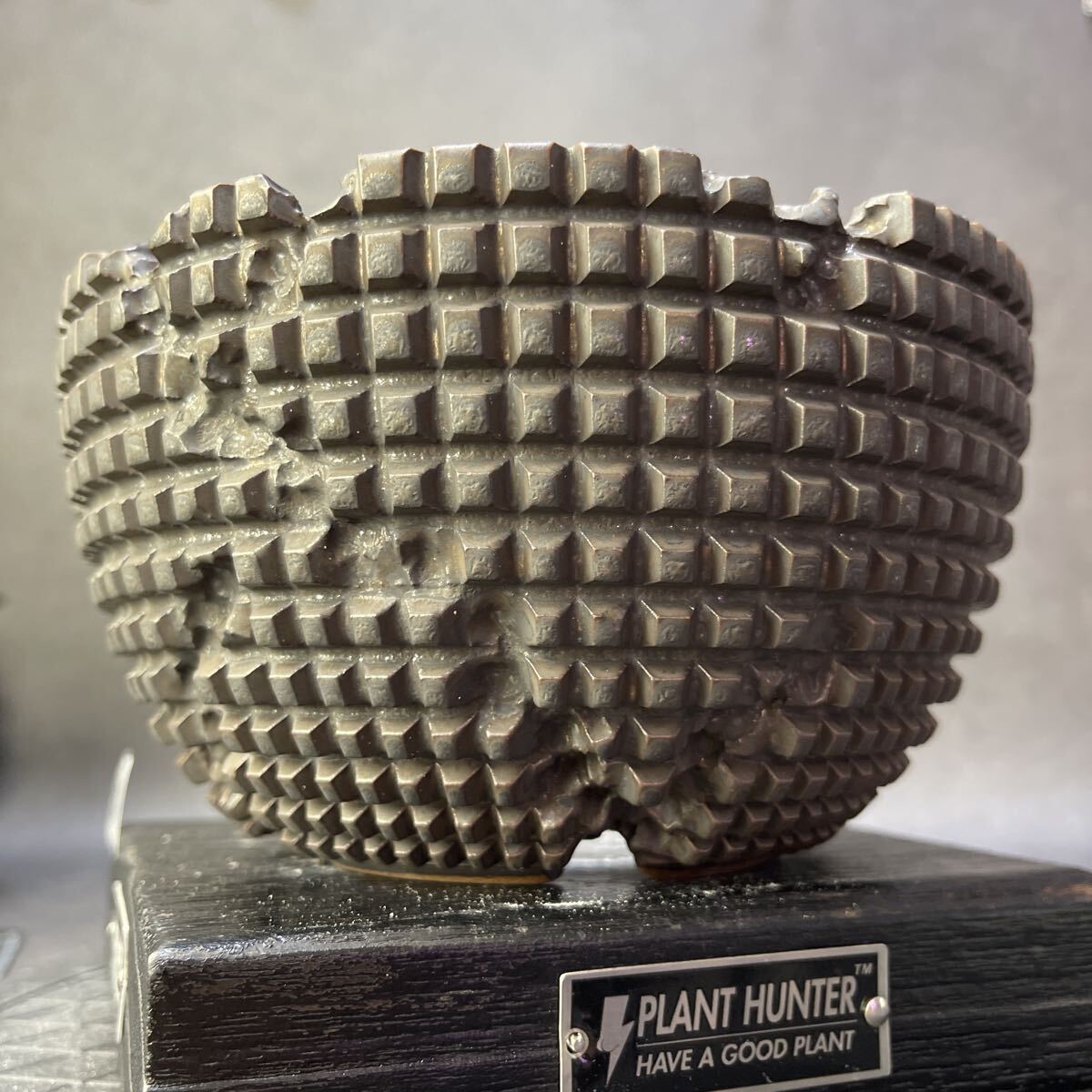 う249 HAND Made XL 植木鉢 陶器 魔界木 検(アガベ パキプス 姫巌竜 帝釈天 黒火焔 factory SRL カタチ製作所 グラキリス 塊根植物 亀甲竜_画像10