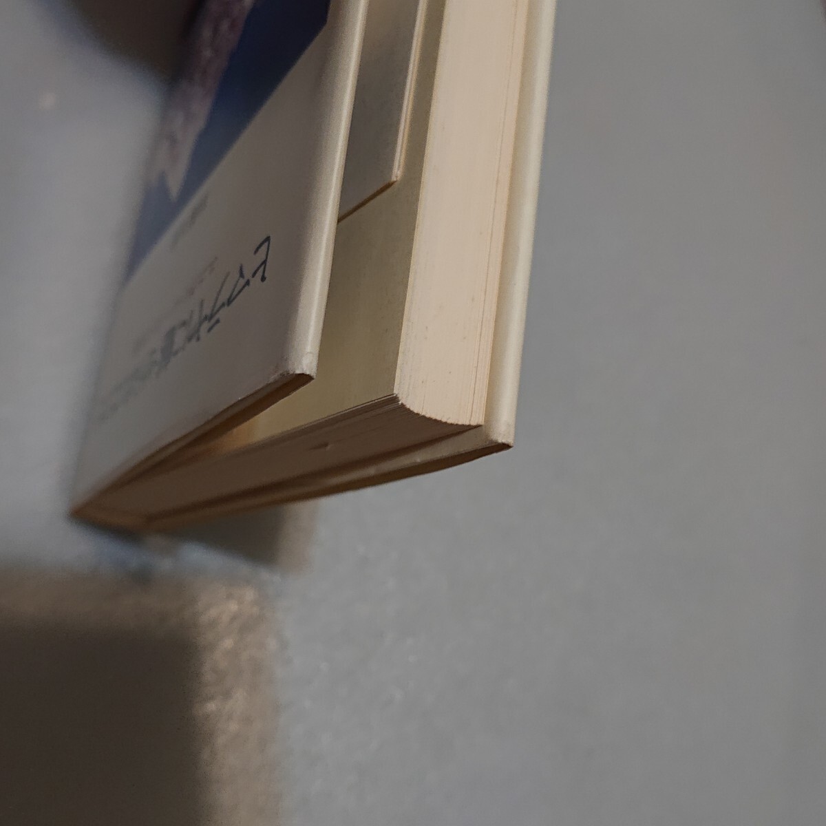 ヒマラヤに魅せられたひと　ニコライ・レーリヒの生涯_画像5