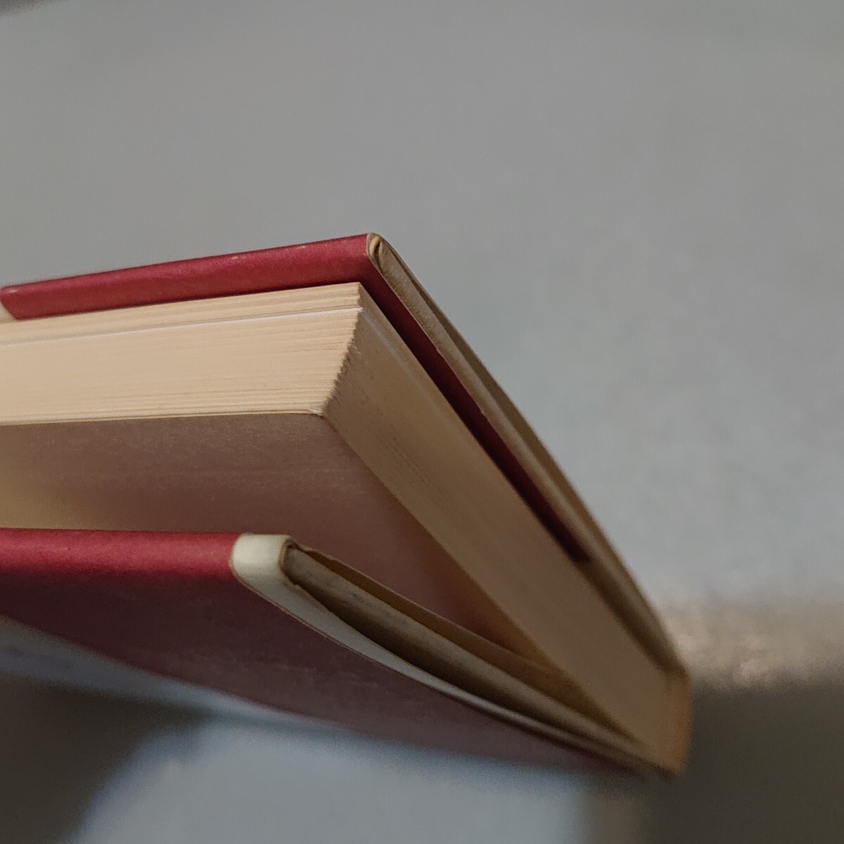 ヒマラヤに魅せられたひと　ニコライ・レーリヒの生涯_画像6