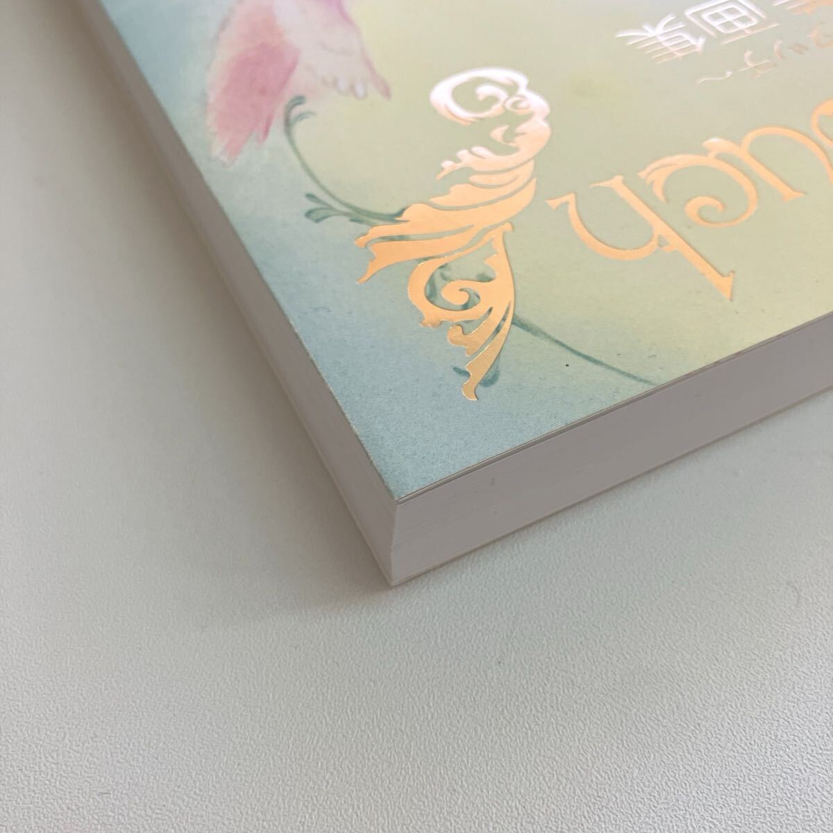 Ａｎｇｅｌ?。裕铮酰悖琛ē螗弗Д毳骏氓痢「咛锩髅喇嫾?高田明美／著 初版 帯付