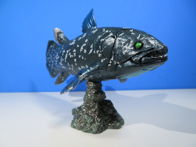  старый плата рыба : дисплей фигурка коллекция /si-la can s