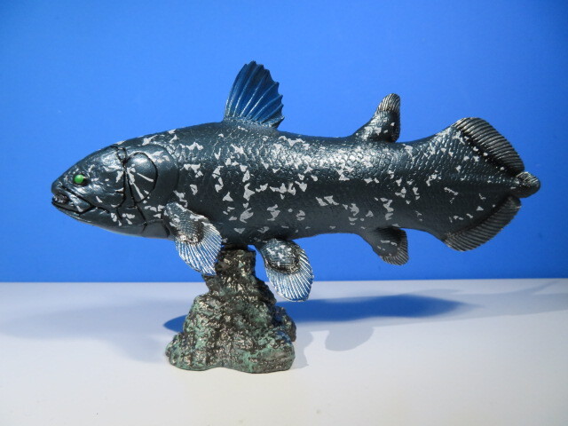  старый плата рыба : дисплей фигурка коллекция /si-la can s