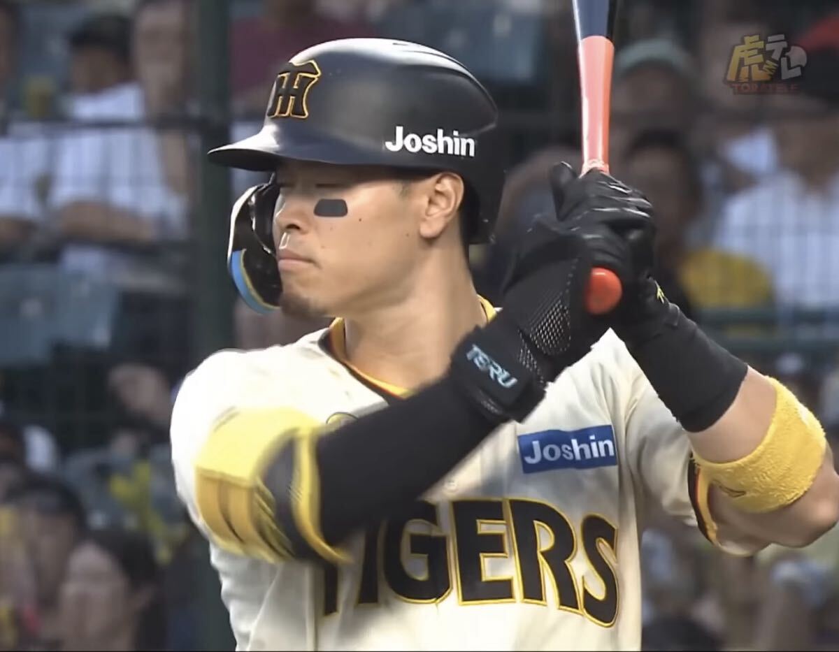 Family with Tigers 阪神タイガースユニフォーム（背番号なし）Oサイズ