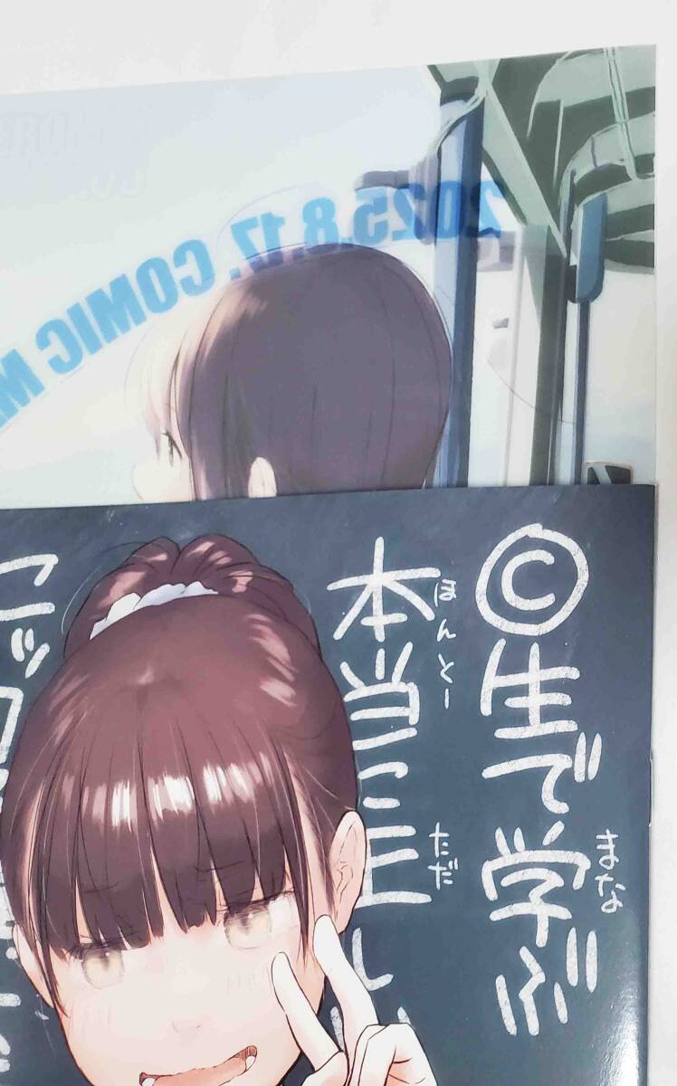 C106 ぺろめっくす 玉乃井ぺろめくり 新刊セット クリアファイル 会場限定 2点セット コミケ106 コミ1 サンクリ コミティア 新品 未使用_画像1