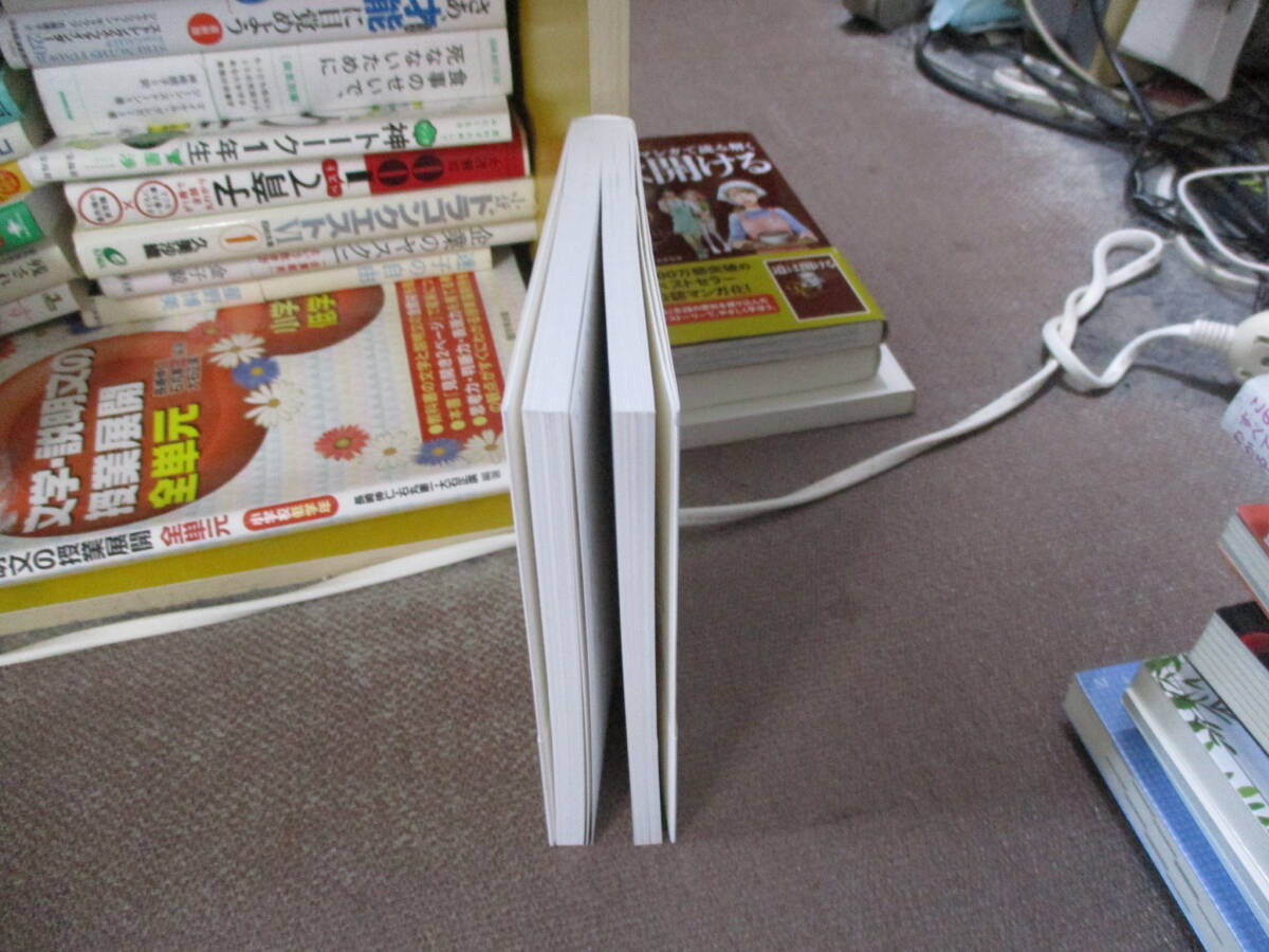 E ウルトラ・ニッチ 小さく始めろ！ニッチを攻めろ！2024/1/31 浜田　寿人_画像2