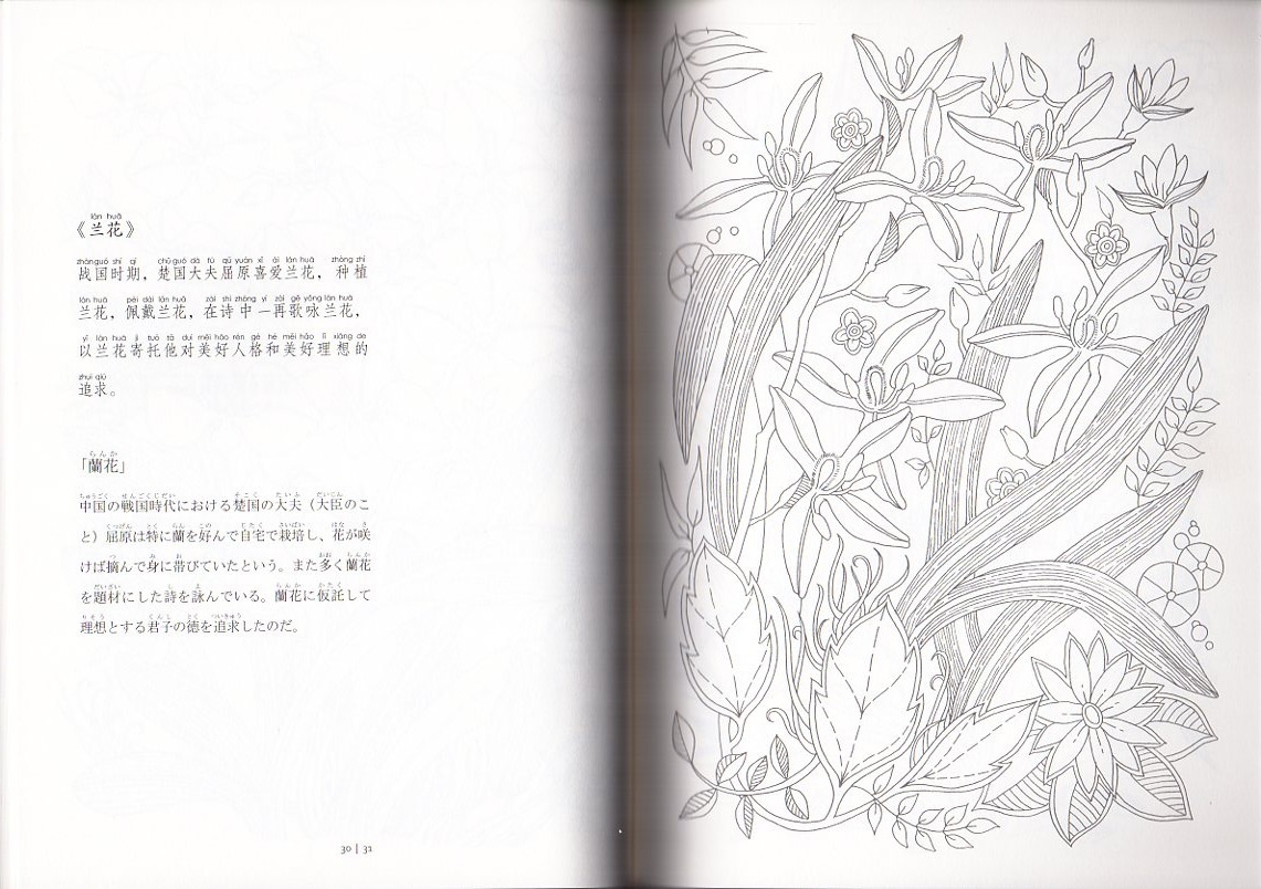 9784909140043(9) 激安!!! 梅蘭竹菊 中国伝統文化図譜 ピンイン付き日中対訳 中国文様 線描 大人の塗り絵/梅竹菊 中国文化_画像4