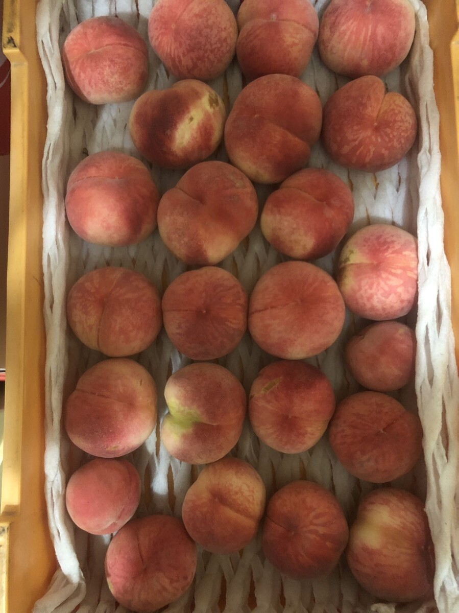 110.早勝ちお買い得福島産 朝採り完熟軟硬桃 箱込み10kg家庭用 110.早勝ちお買い得福島産 朝採り完熟軟硬桃 箱込み10kg家庭用