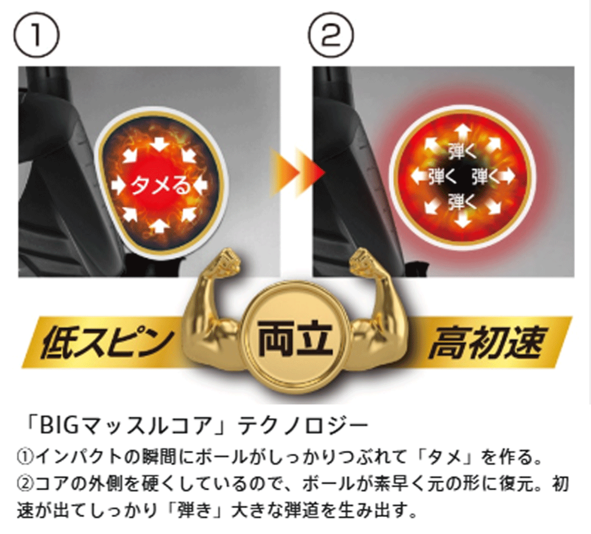 新品■2023.8■ブリヂストン■TOUR B JGR■マットレッド■２ダース■「タメ」と「弾き」の 効率インパクトで飛ばす■正規(guī)品