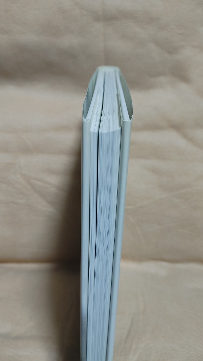 ダイアナ 写真集 Diana princess of wales by MARIO TESTINO 洋書_画像3