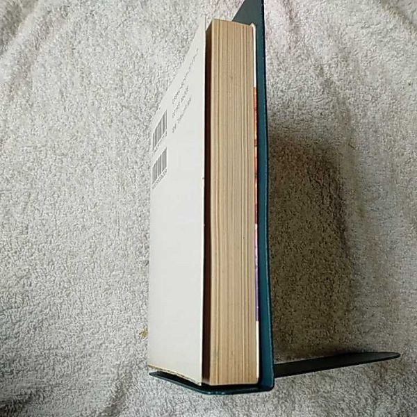 ザ・サード 風のままに、歌のままに (富士見ファンタジア文庫) 星野 亮 後藤 なお 9784829117118_画像4