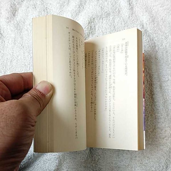 ザ・サード 風のままに、歌のままに (富士見ファンタジア文庫) 星野 亮 後藤 なお 9784829117118_画像8