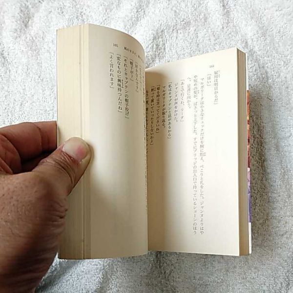 ザ・サード 風のままに、歌のままに (富士見ファンタジア文庫) 星野 亮 後藤 なお 9784829117118_画像9