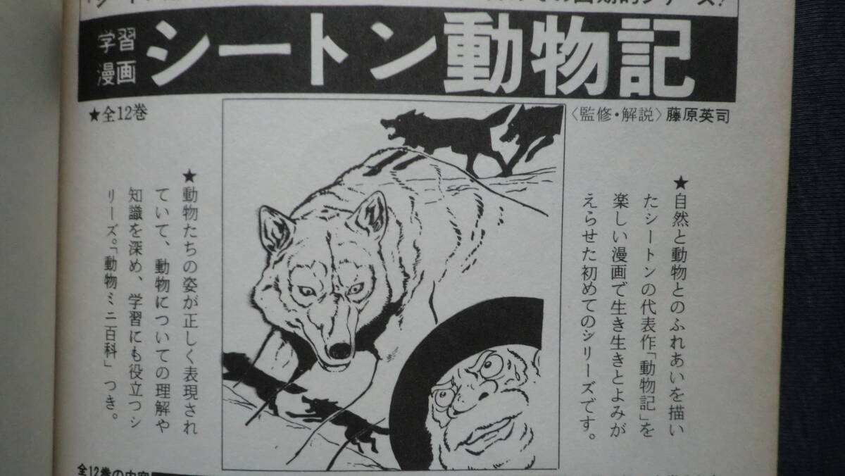 学習漫画シートン動物記 カラスの大将 銀の星 キツネ犬ワリー 藤原英司監修・解説 松田辰彦マンガ 集英社 1974年_画像8