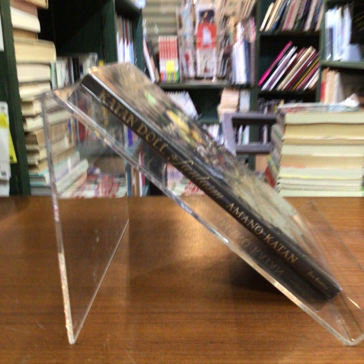 ＫＡＴＡＮ　ＤＯＬＬ　ｆａｎｔａｓｍ　天野可淡人形作品集『カタンドール・ファンタズム』_画像3