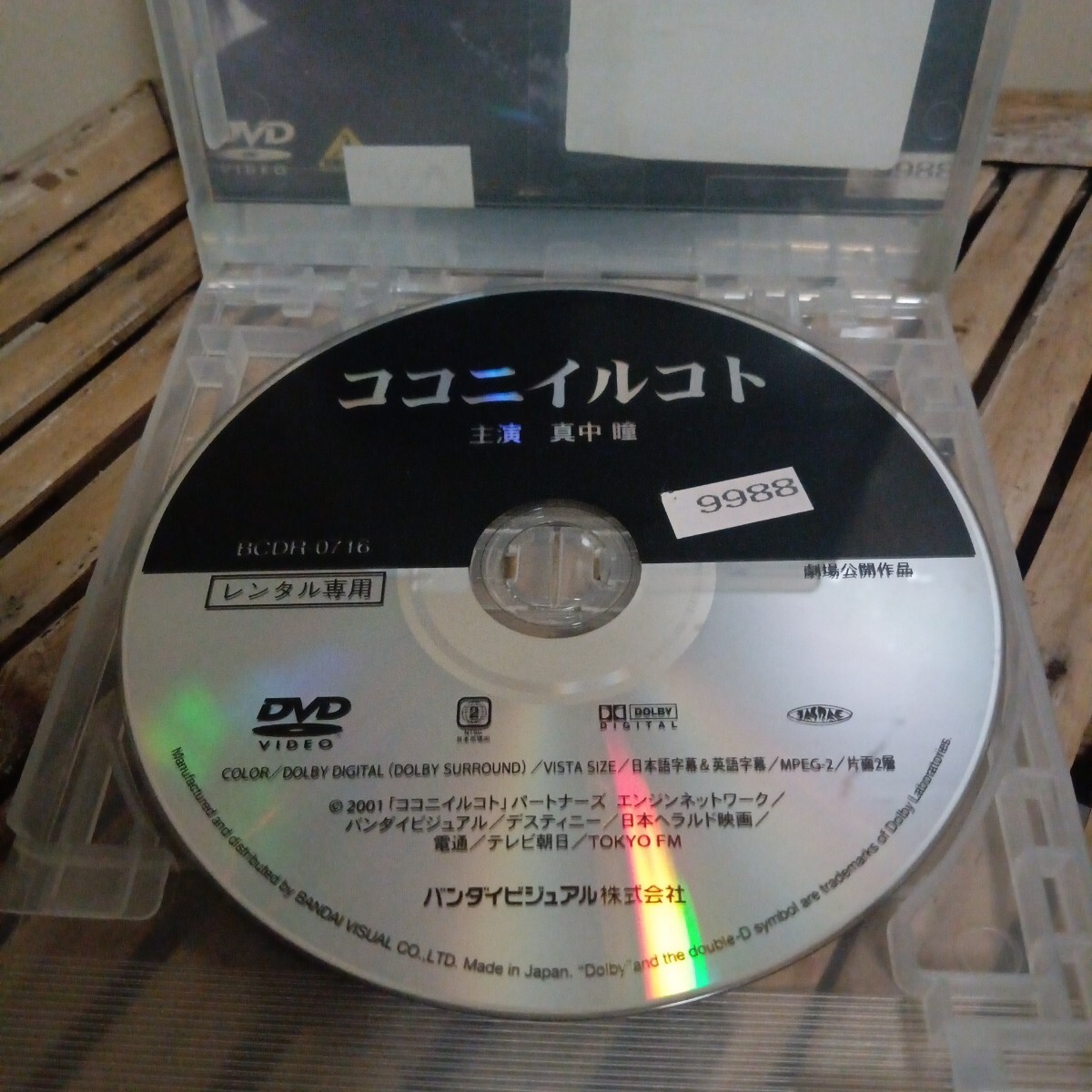 ココニイルコト　DVD 真中瞳　堺雅人　笑福亭鶴瓶　島木譲二　　レンタル盤　_画像3