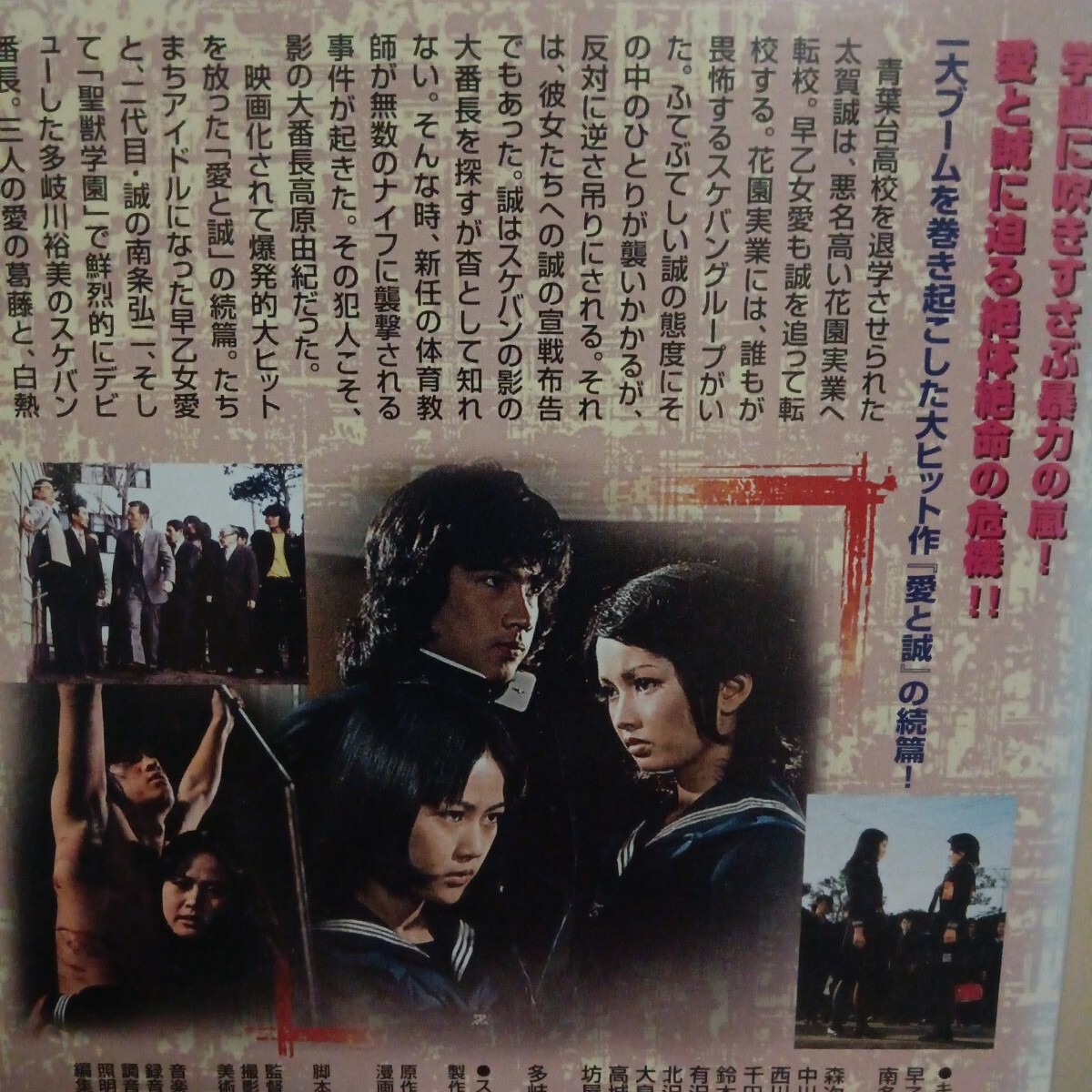 続　愛と誠　DVD 山根成之　　早乙女愛　南条弘二　多岐川裕美　レンタル盤　_画像3