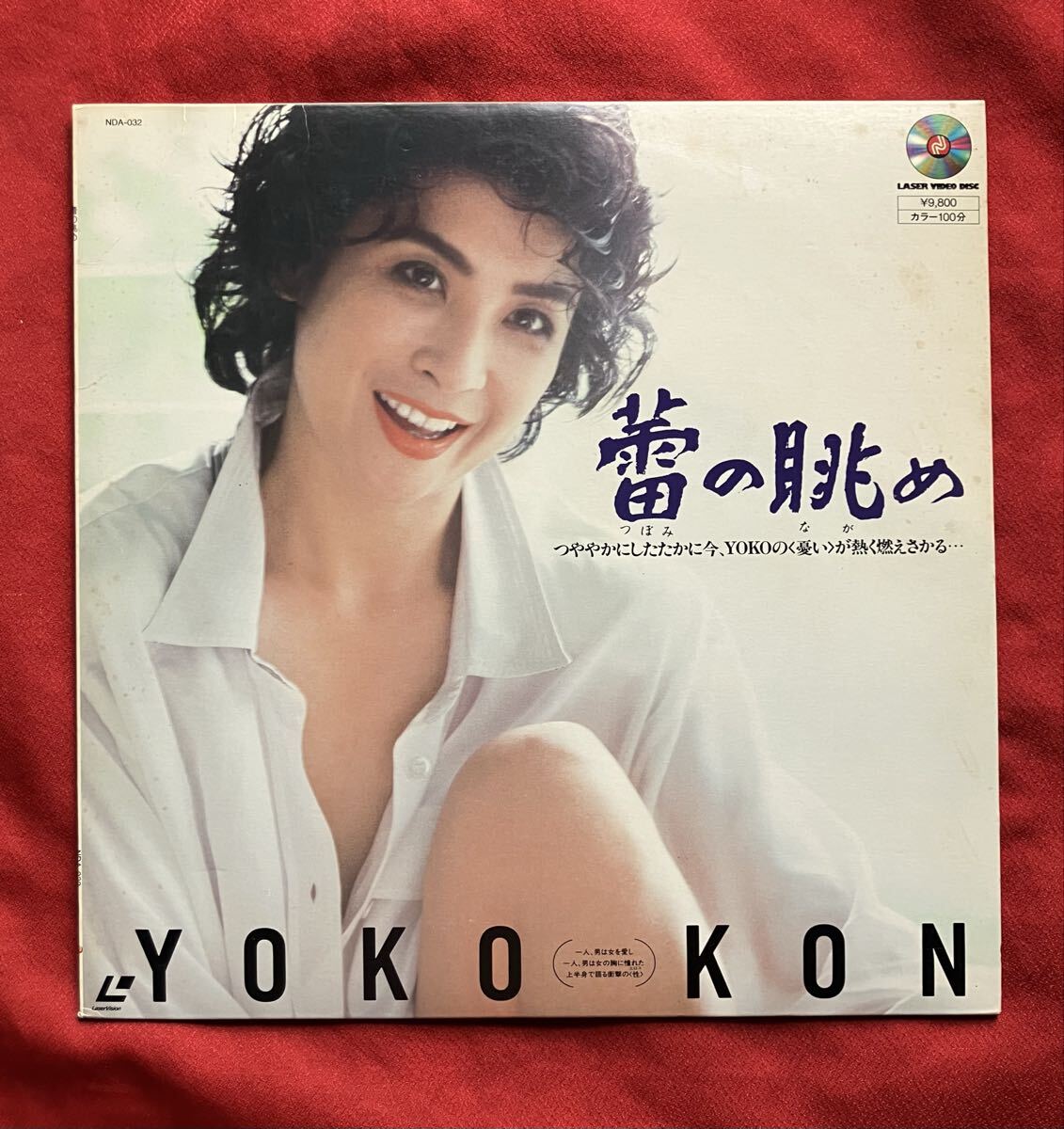 今陽子 蕾の眺め レーザーディスク_画像1