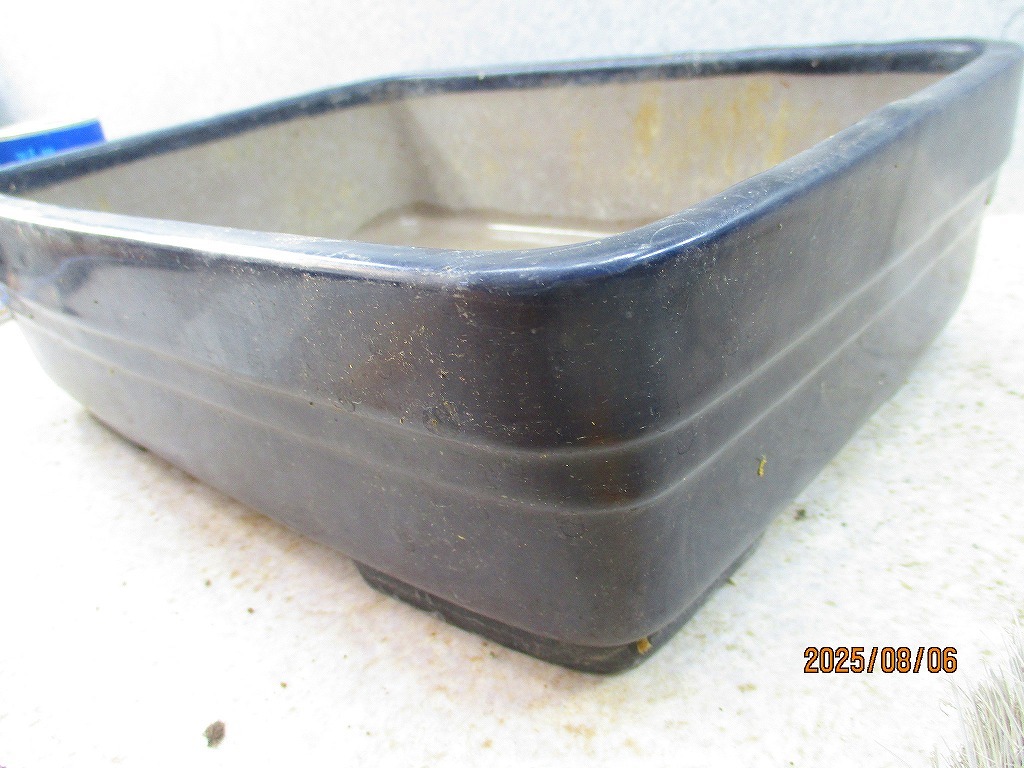 [讃岐屋緑兵衛] 盆栽鉢 銘有り 瑠璃釉長方鉢 31×23.5×9.5㎝ (C62805)※同梱包は「まとめて取引」手続厳守※送料明記＊説明必読_画像6
