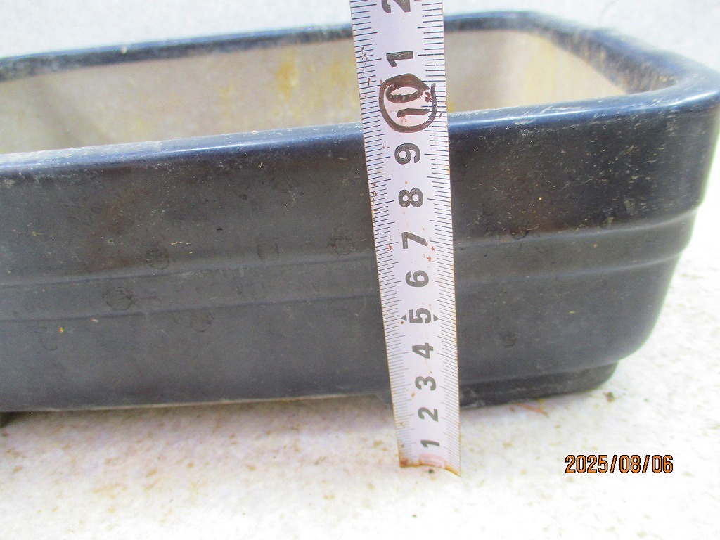 [讃岐屋緑兵衛] 盆栽鉢 銘有り 瑠璃釉長方鉢 31×23.5×9.5㎝ (C62805)※同梱包は「まとめて取引」手続厳守※送料明記＊説明必読_画像5