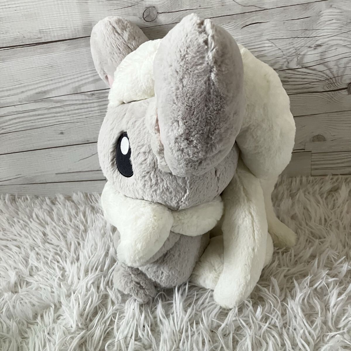 ポケットモンスター ポケモン ふわふわ抱きぬいぐるみ