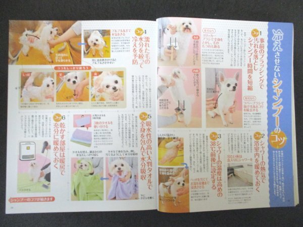本 No1 02491 いぬのきもち 2013年12月号 実際やって効果があった しつけの総ざらい2013 愛犬冬支度は思わぬストレスに気をつけて!_画像3