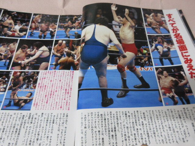 [ еженедельный Professional Wrestling NO.521 1992.11|8] все день будо павильон больше . три . на река рисовое поле лошадь место Hansen do Lee на журавль рисовое поле Andre go-ti Baseball журнал фирма 