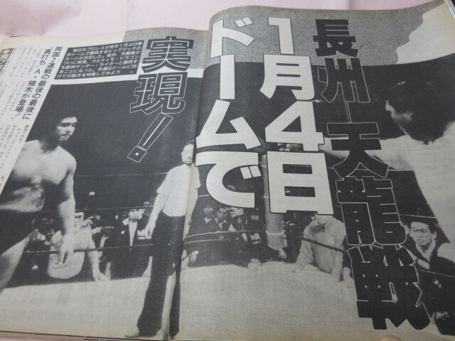 [ еженедельный Professional Wrestling NO.526 1992.12|8] Hawk энергия на длина ..urutimo новый день G. рисовое поле на подвеска ke Baseball журнал фирма 