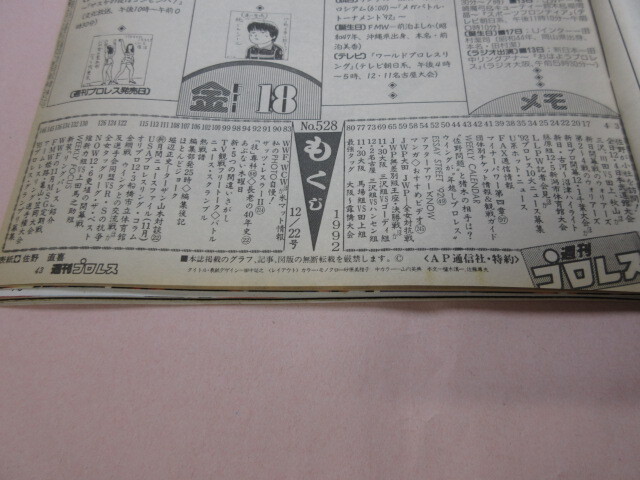 「週刊プロレス NO.528 1992.12/22」佐野直喜 パワーホーク対武藤馳 藤原対シャムロック JWP対全女 ベースボールマガジン社_画像7