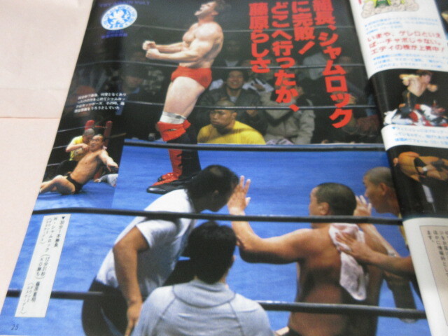 「週刊プロレス NO.528 1992.12/22」佐野直喜 パワーホーク対武藤馳 藤原対シャムロック JWP対全女 ベースボールマガジン社_画像5
