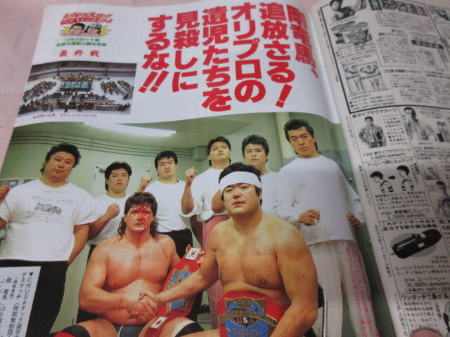 「週刊プロレス NO.528 1992.12/22」佐野直喜 パワーホーク対武藤馳 藤原対シャムロック JWP対全女 ベースボールマガジン社_画像9