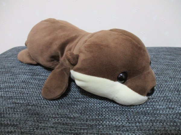 「可愛い　かわうそ　ハッピーマリン　?　50818 」