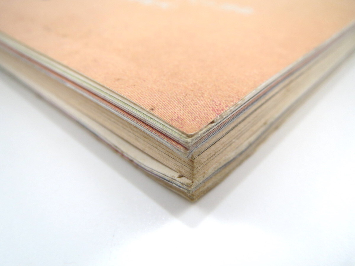 東京人 1996年11月号「都会の動物大図鑑」ペット 野鳥 伊佐山ひろ子 春風亭昇太 団鬼六 押井守 犬丸りん 藤原作弥インタビュー_画像3