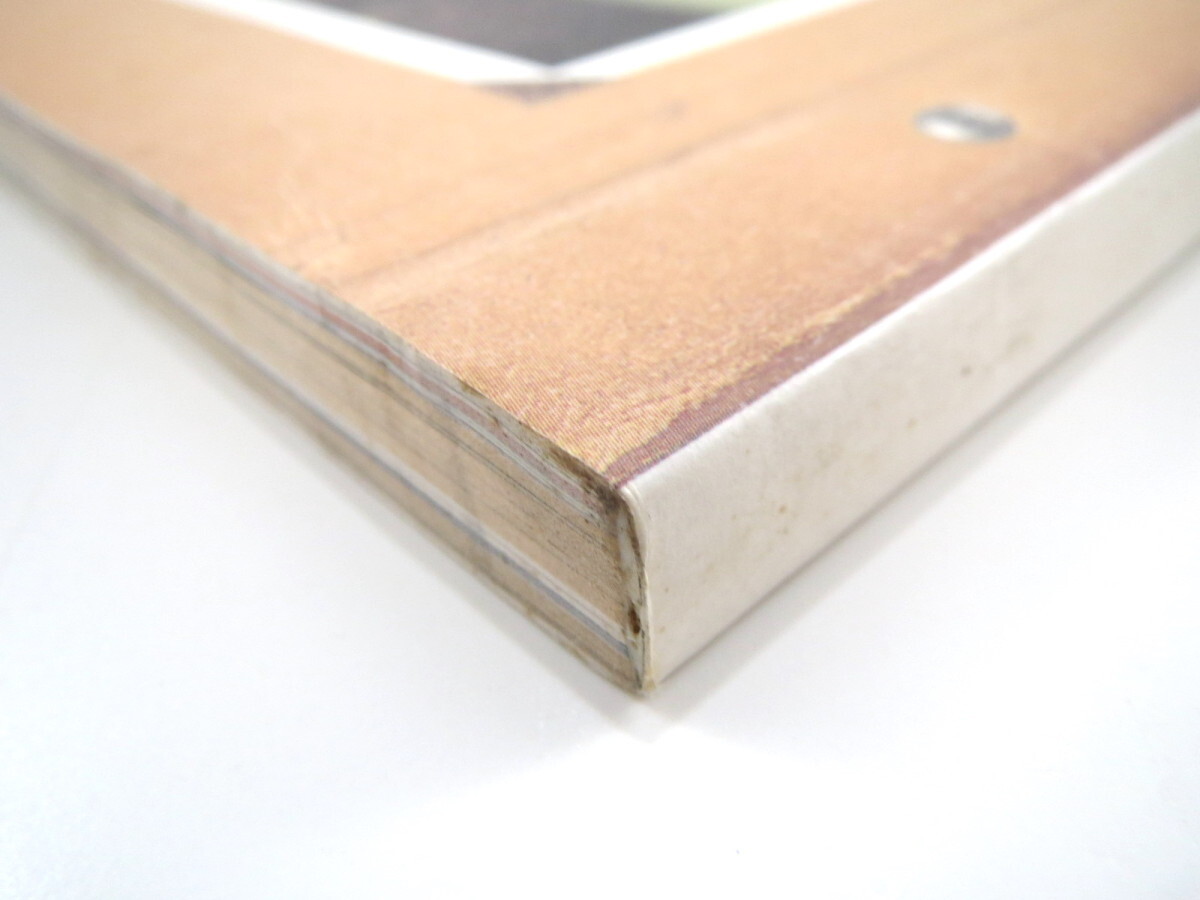 東京人 1996年11月号「都会の動物大図鑑」ペット 野鳥 伊佐山ひろ子 春風亭昇太 団鬼六 押井守 犬丸りん 藤原作弥インタビュー_画像2