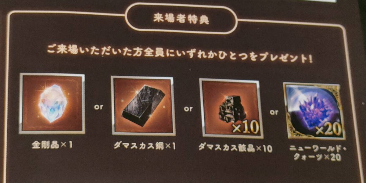 グラフェス 2024 来場者特典 リーフレット(シリアル未使用) グランブルーファンタジー グラブルextraフェス2024 入場者特典