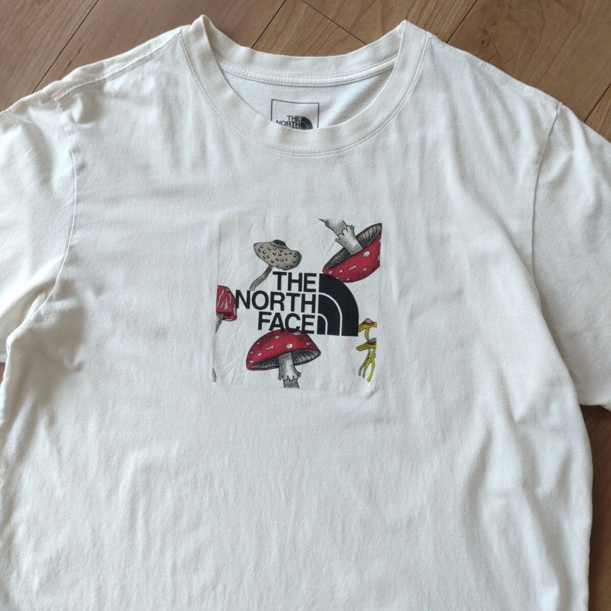 THE NORTH FACE Tシャツ/クリーム系/古着/MEN'S XL【J980】_画像3