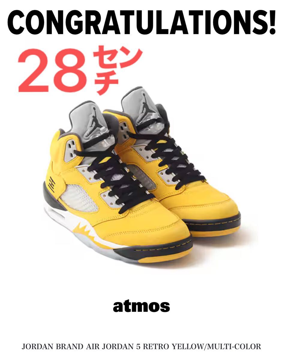 Nike Air Jordan 5 Retro Tokyo 23 (2025) 28 センチ nitro “Varsity