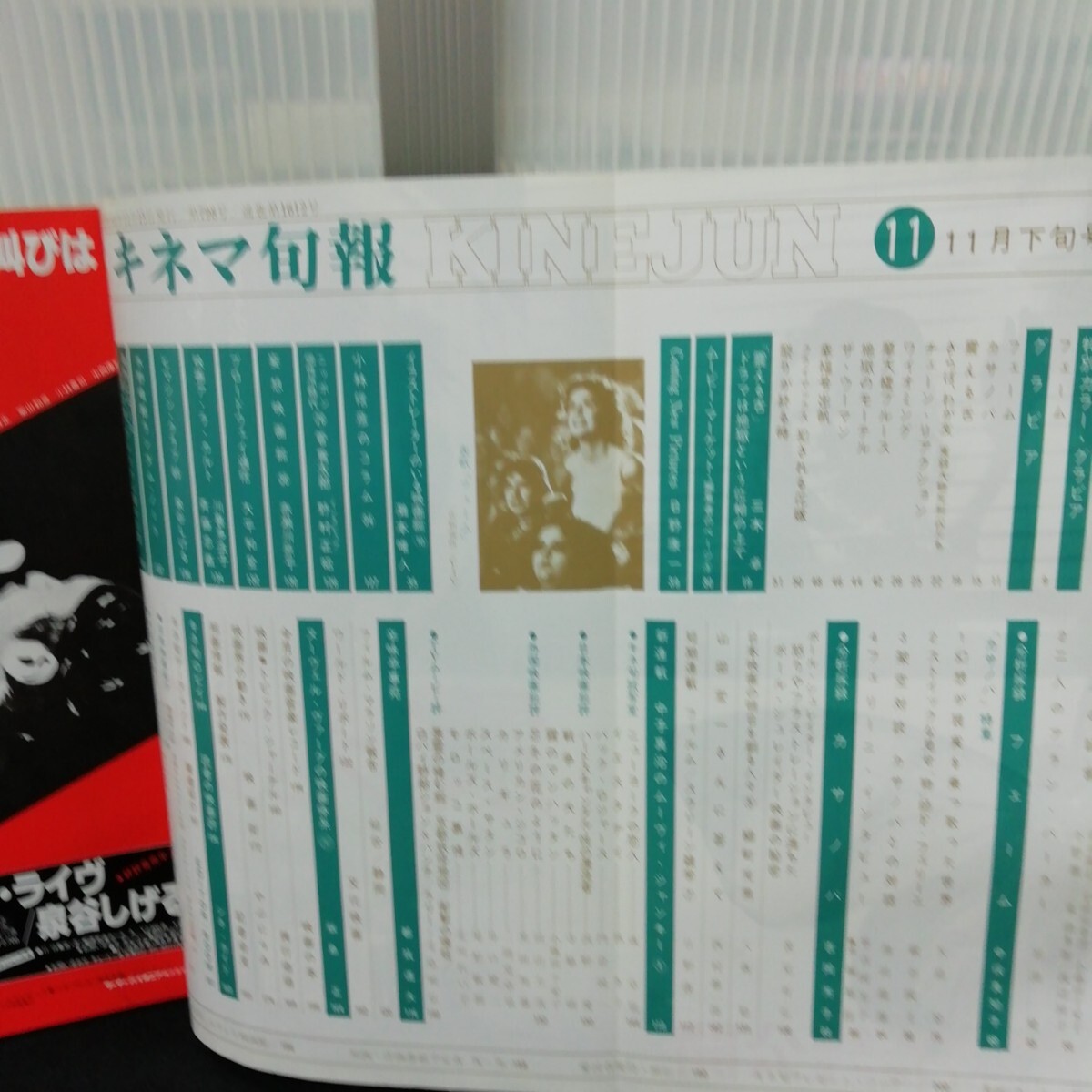Ja-176キネマ旬報 11月下旬號 フェーム カサノバ ポール?シュレンダー?インタビュー フィルム 昭和55年11月15日発行/L9/70705