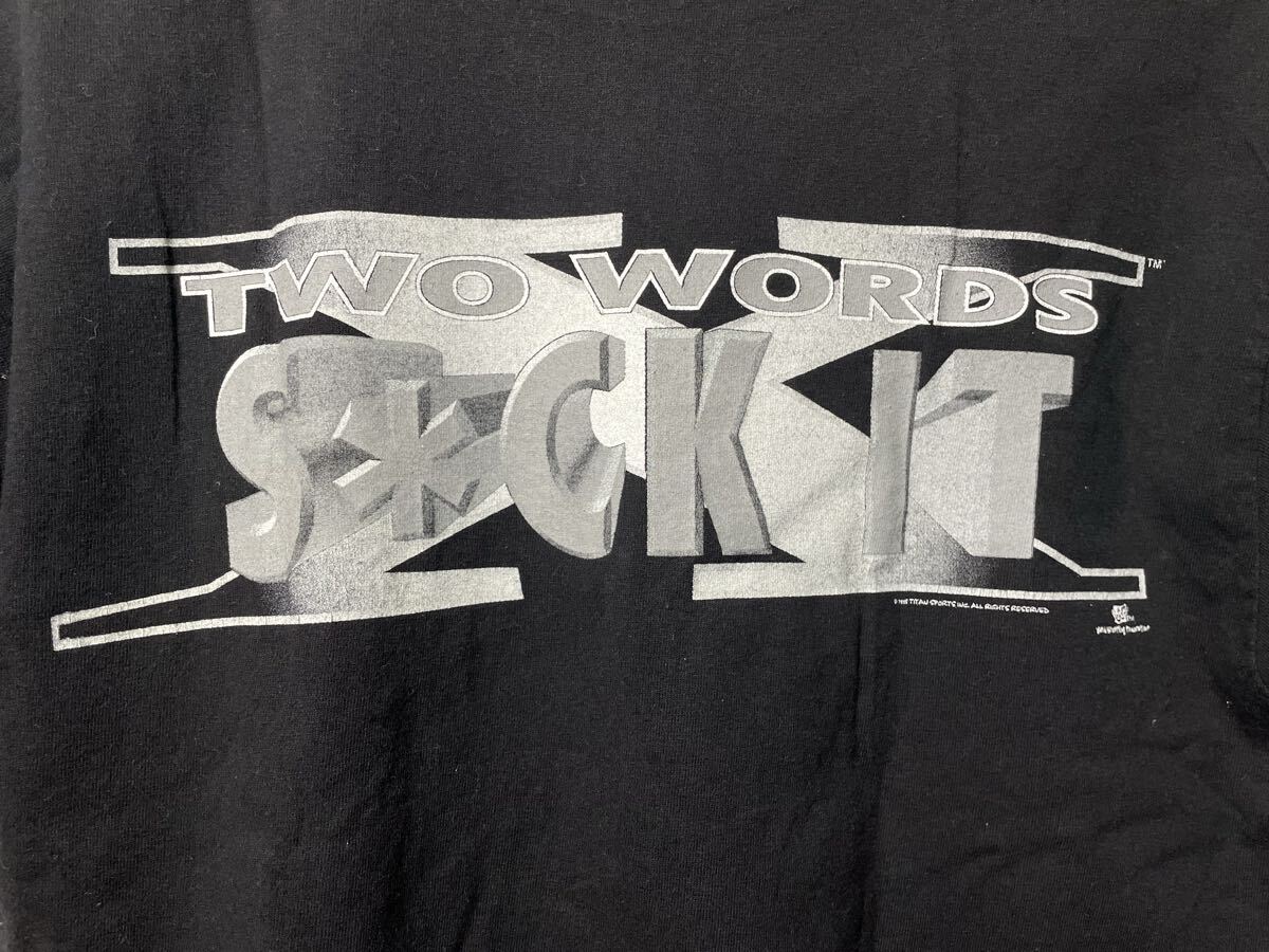 WWF WWE ビンテージ古着Tシャツ 2000年代初頭モノ DジェネレーションX サックイット Tシャツ Mサイズ_画像4
